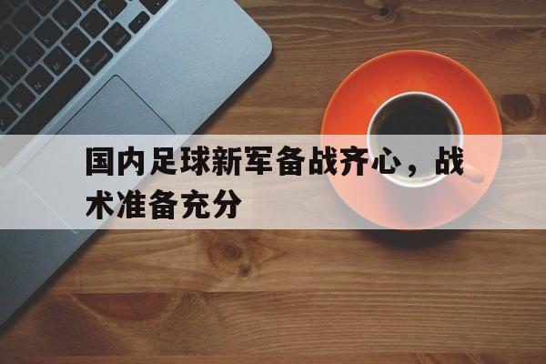 开云体育平台APP-国内足球新军备战齐心，战术准备充分的简单介绍