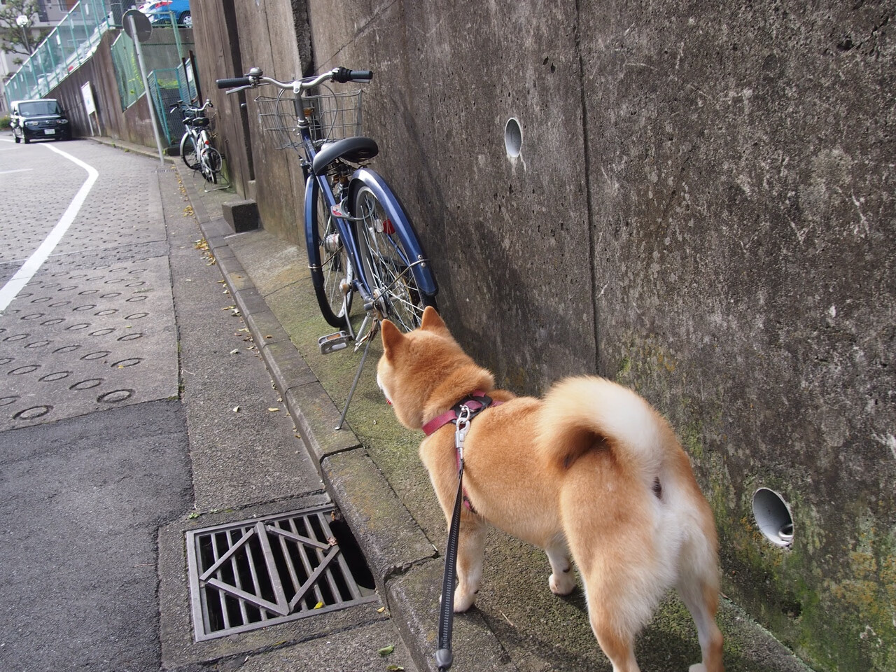 开云体育APP下载-欧文末节封神！山西双枪轰垮骑士防线