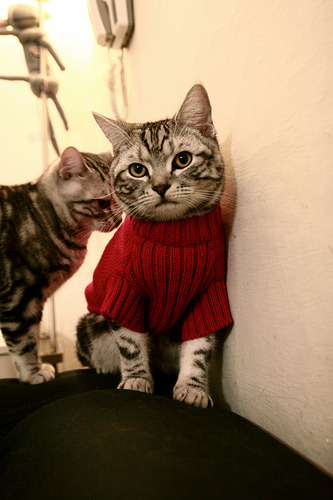 开云体育在线-宿敌重逢，再决沉浮，控卫之神哈登如何成为绿军与黄蜂对决的胜负手？