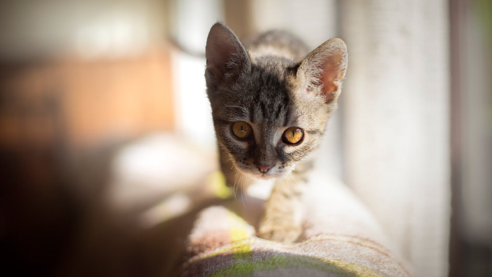 开云体育官方网站-巴黎1-0曼联，全场焦点金玟哉，一次改变战局的争议判罚