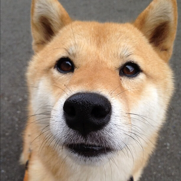 开云体育登录-掌控风云！福克斯如何一手主导76人与开拓者的激战？