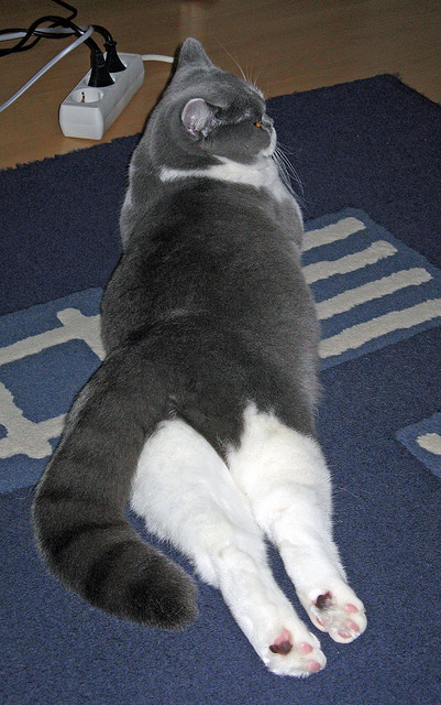 开云体育官网-恩比德里程碑闪耀，山西队勇战独行侠虽败犹荣