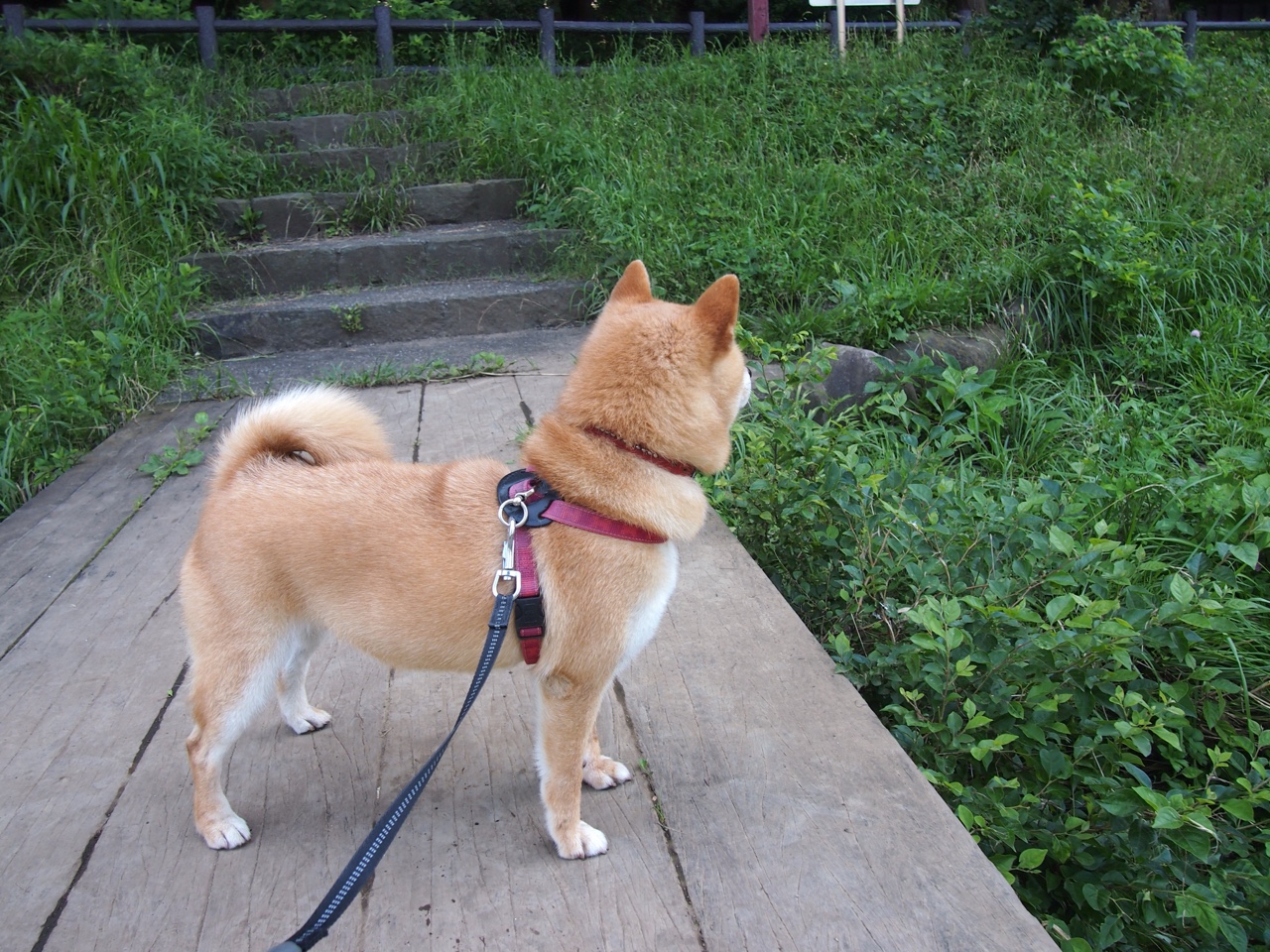 开云体育登录-无声惊雷，年度焦点之战，孔德一肩扛起全队的夜晚