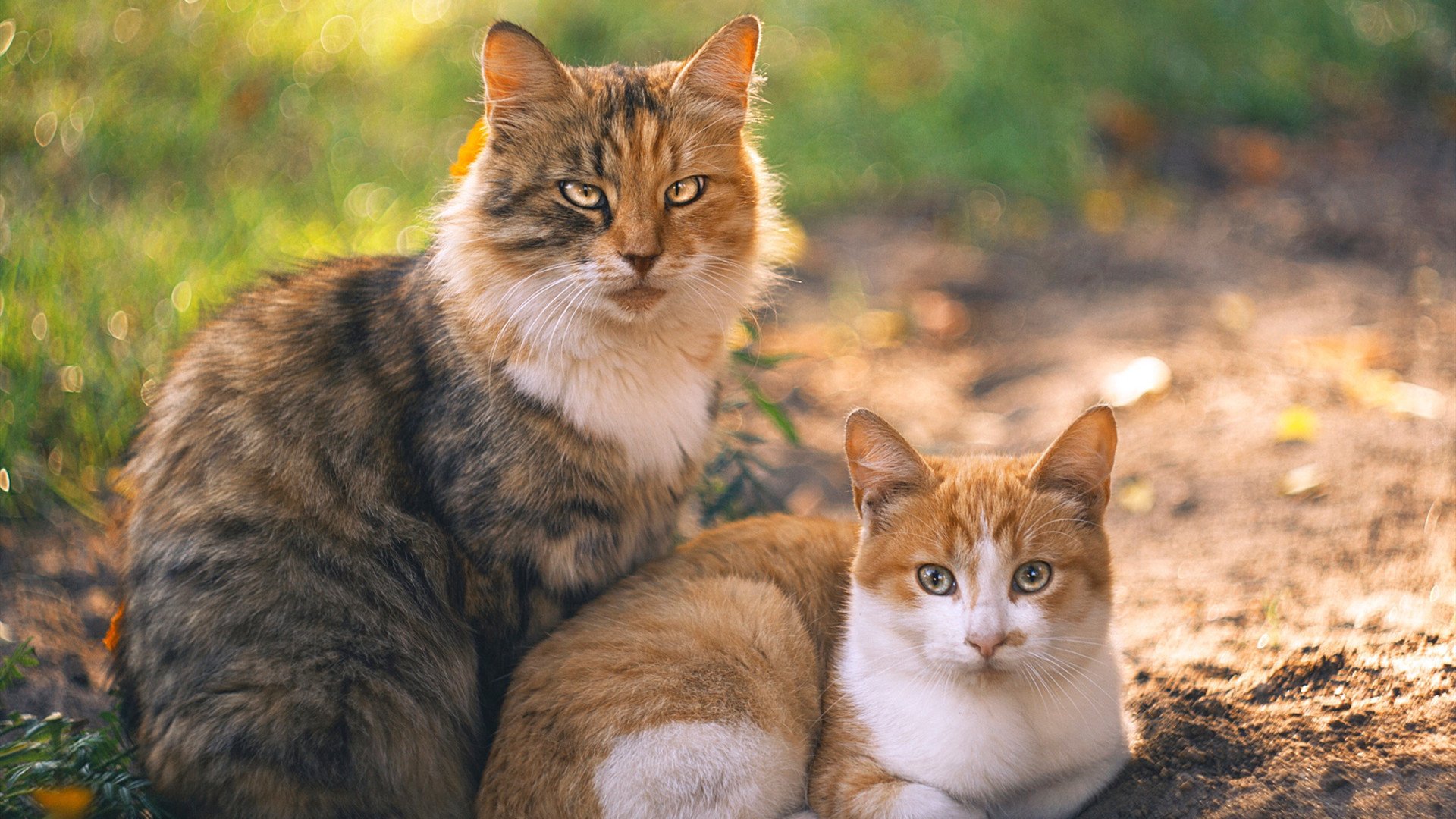 开云体育中国-克罗地亚客场凯旋，黄喜灿绝杀摩纳哥成关键先生