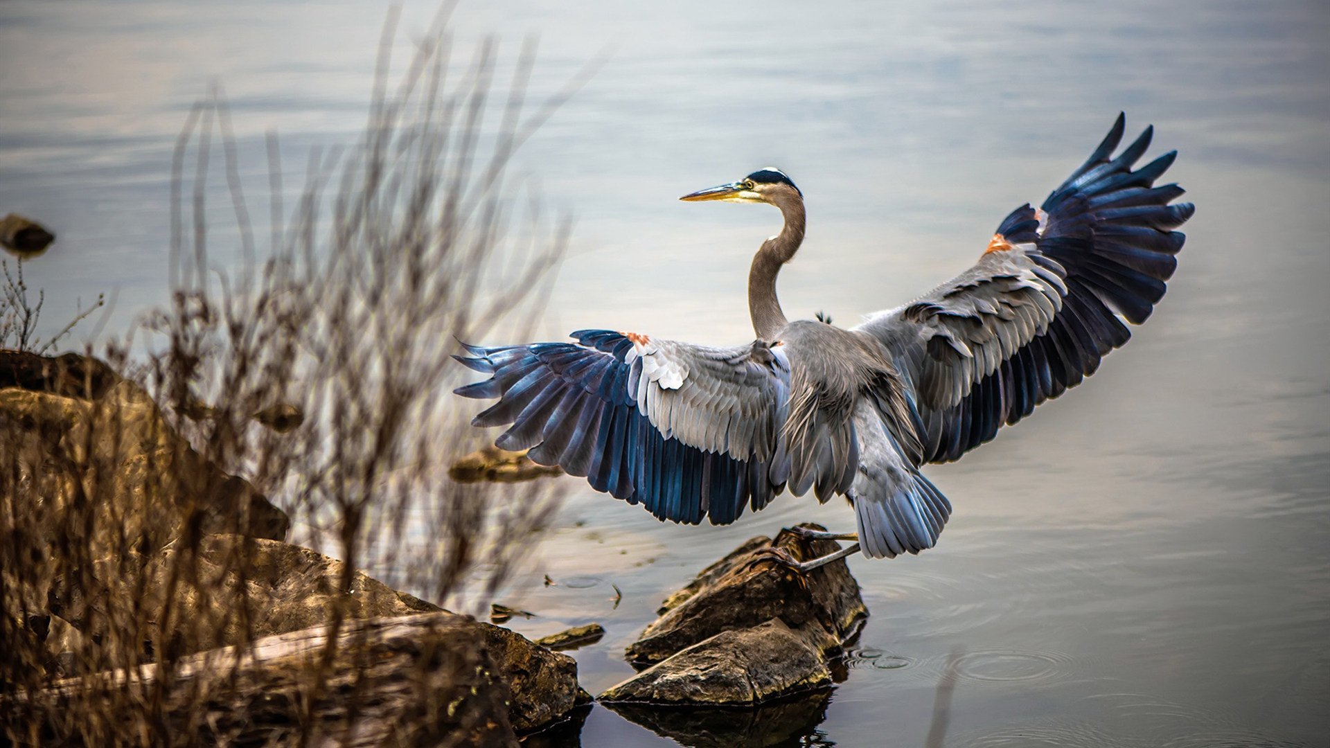 地缘棋局与绿茵战场，土耳其的非洲进击与努涅斯的自我正名