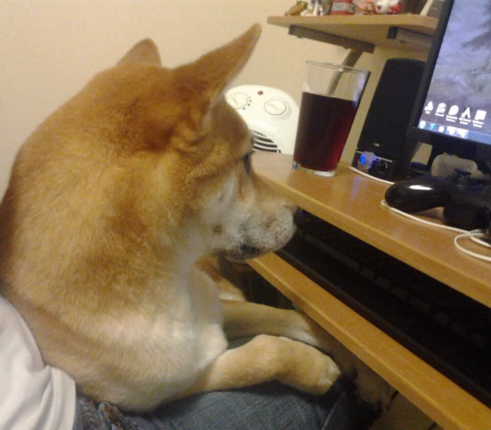 米切尔狂飙40分创生涯新高，灰熊三节打卡提前终结湖人悬念