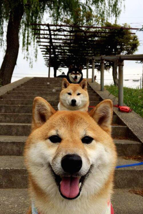 经典对决！保罗神级掌控助上海队一分险胜骑士