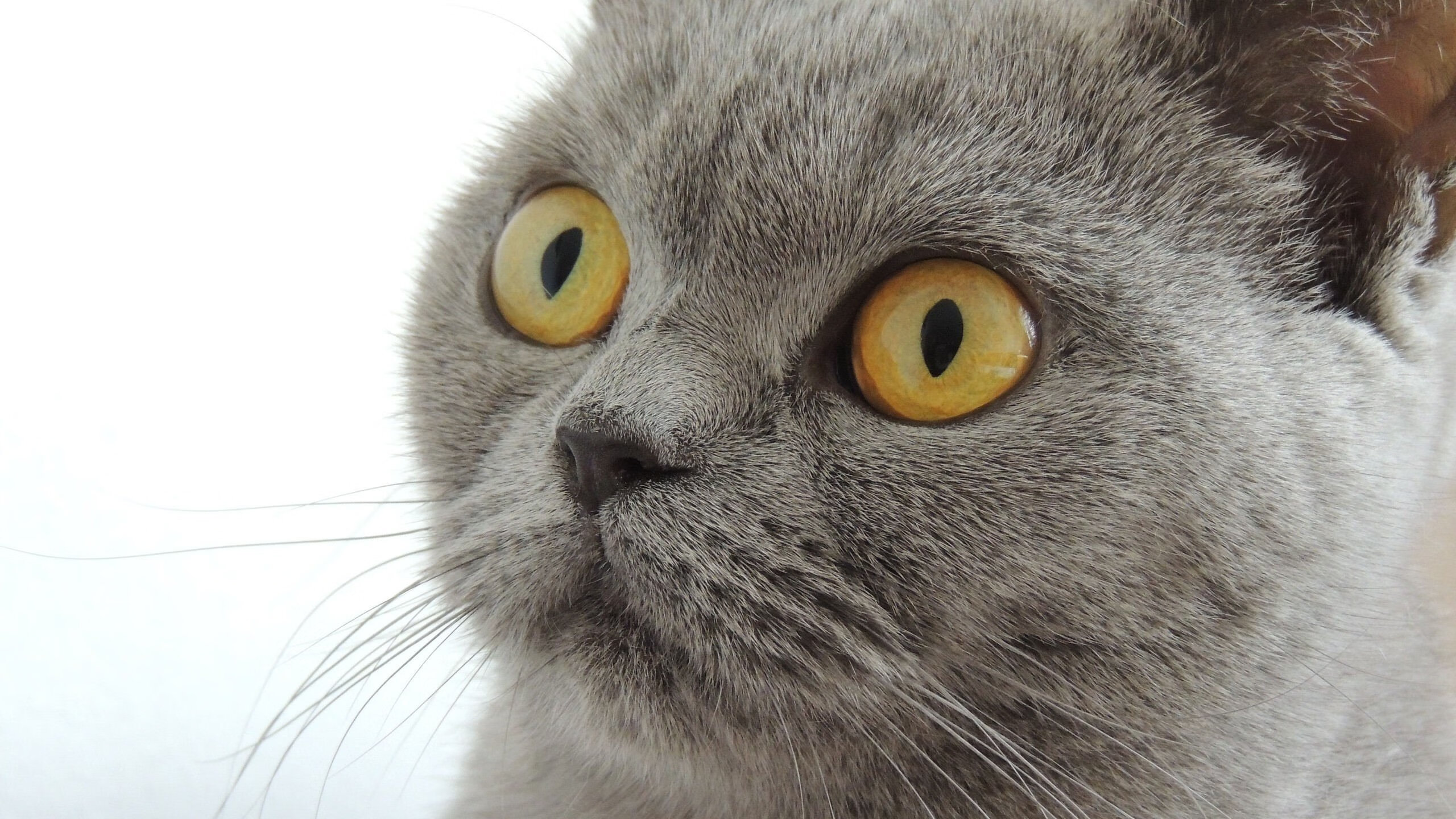 一战封神，基耶萨惊天逆转，中国队在安哥拉带走的不只是胜利