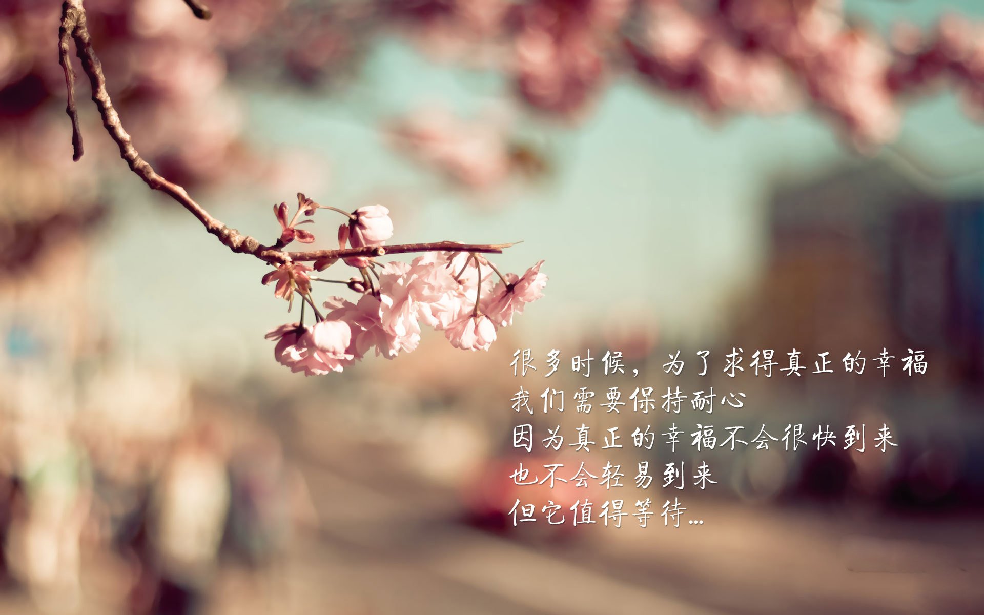 美加墨世界杯倒计时，当足球盛宴的号角，遇见篮球场上的终结者