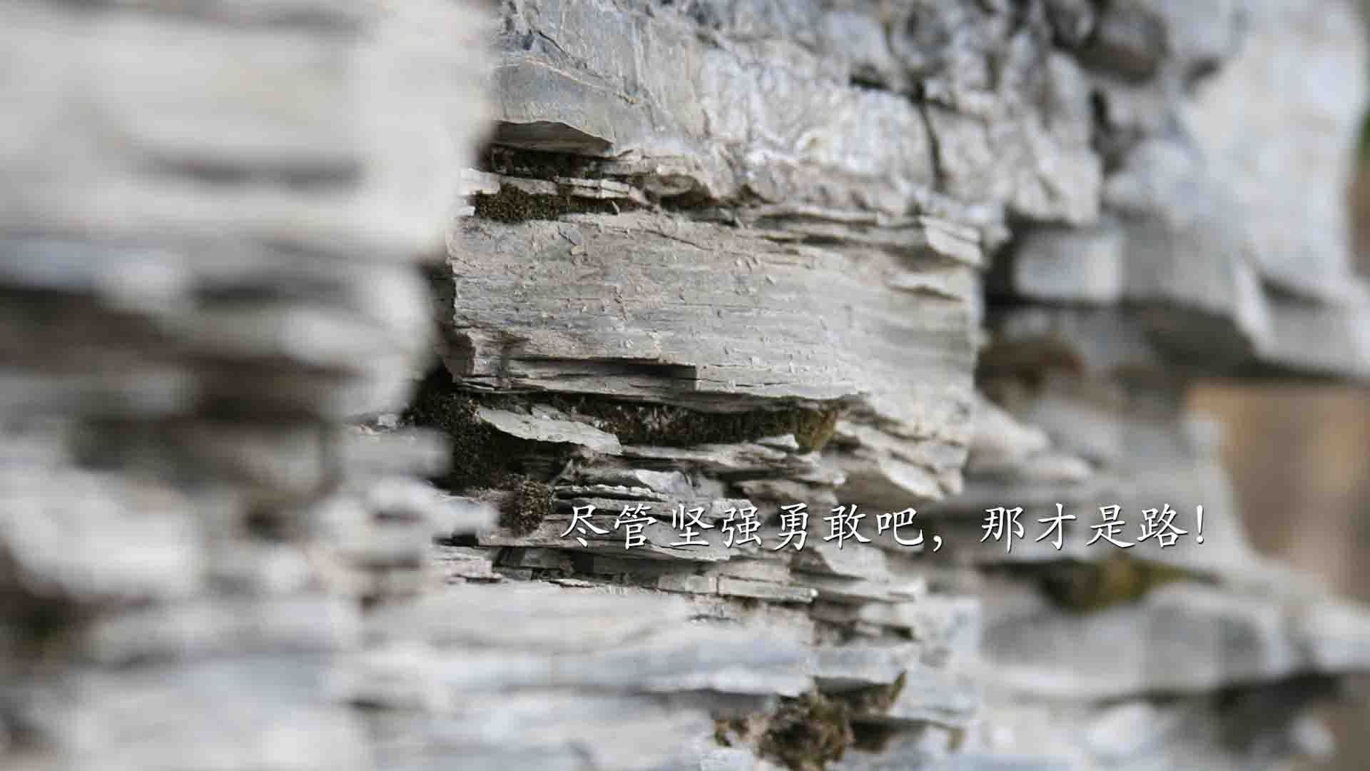 终破心魔！深圳队掀翻北境之王，超新星杰伦·格林陨落前夜狂飙救赎