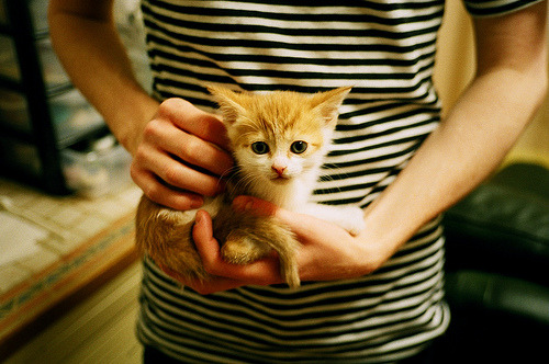 绿茵双城记，欧冠精英的冰火博弈与墨西哥高原的冠军怒吼