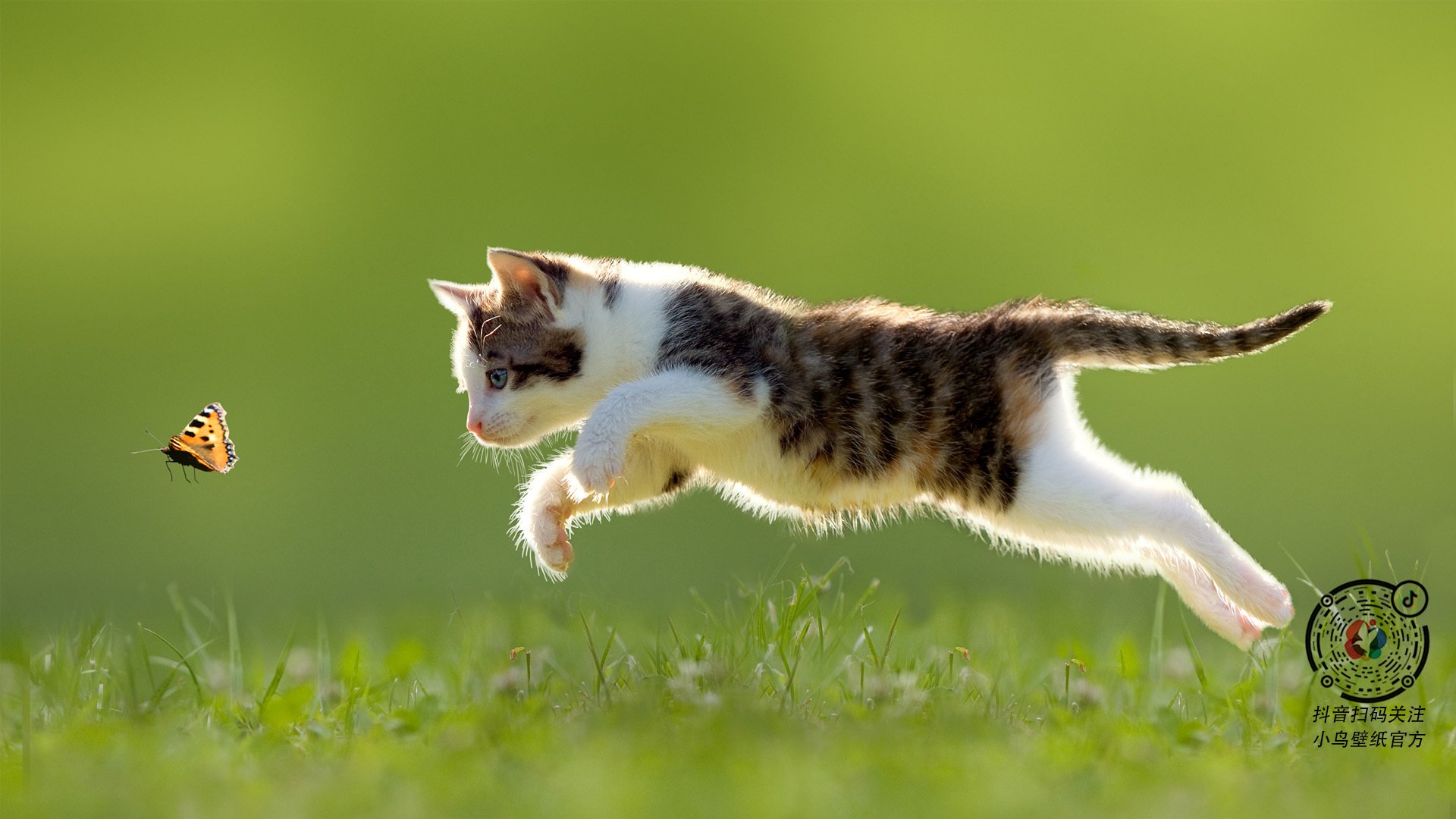 灰熊队正面击溃新疆队，德罗赞在焦点战中证明自己