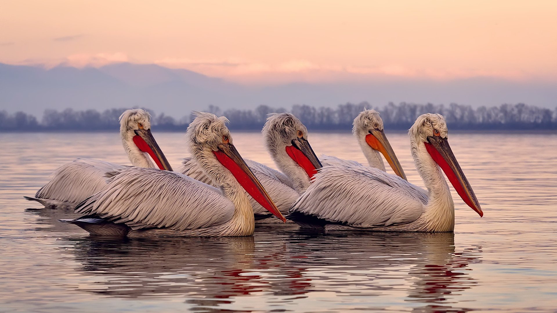 戈麦斯，从沉默狙击手到关键先生，他用连续得分点燃胜利之火