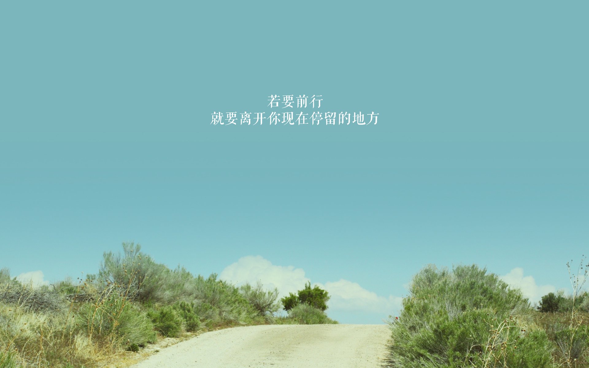 魔幻之夜,萨卡导演逆转大戏,罗马尼亚绝杀奥地利引爆D组悬念