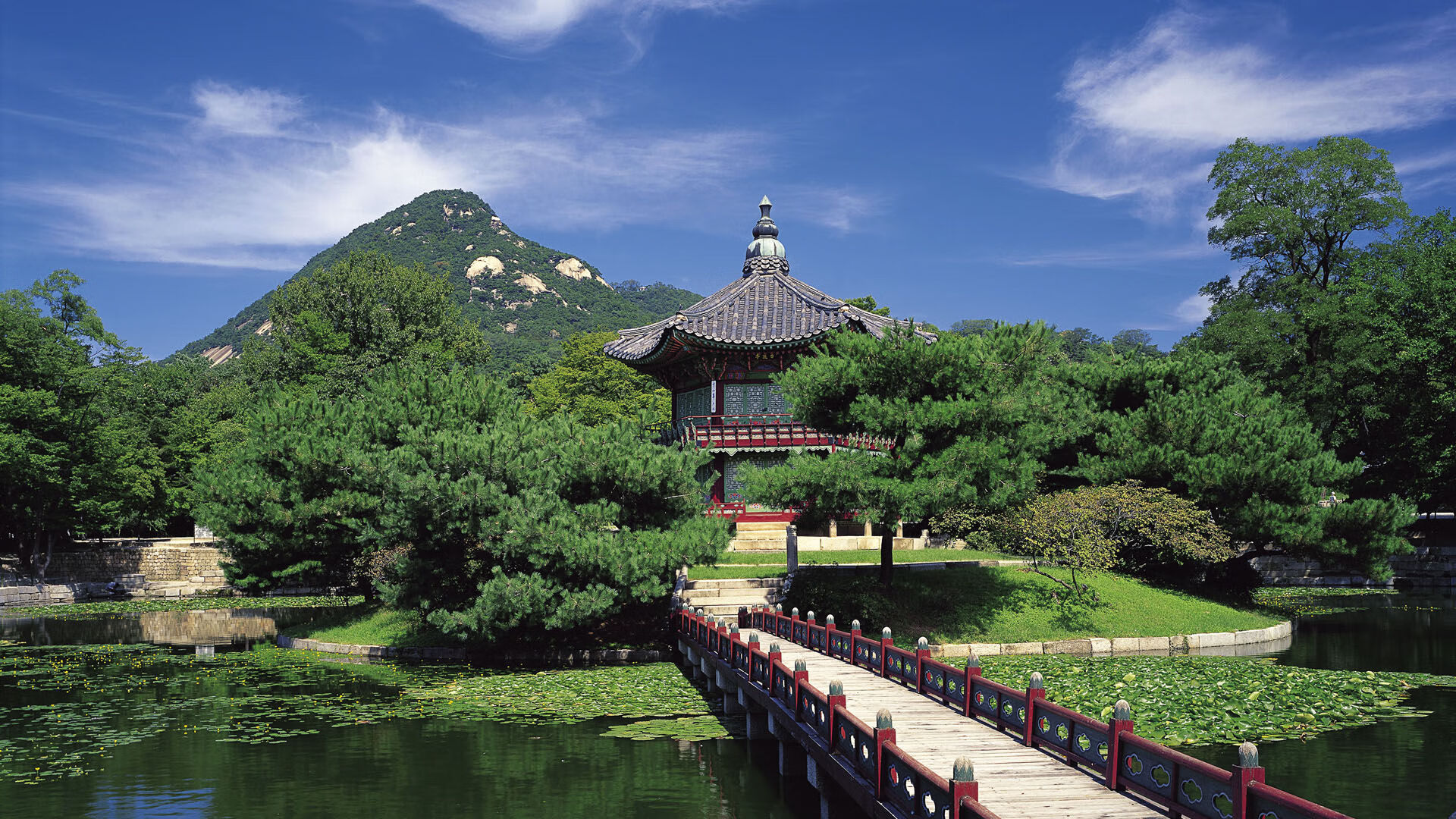 魔笛破局,2026世界杯G组激战,莫德里奇引领意大利险胜突尼斯