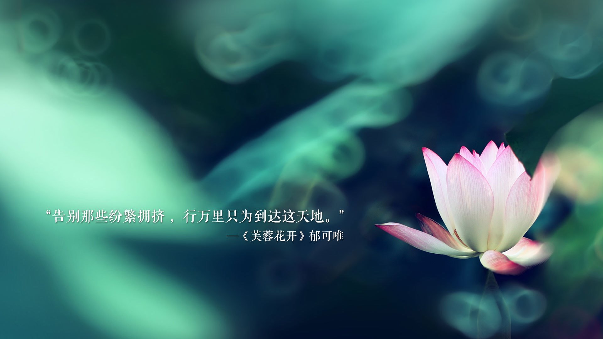 开云体育登录-致命一击，巴雷拉绝杀比利时，意大利奏响2026世界杯最强音